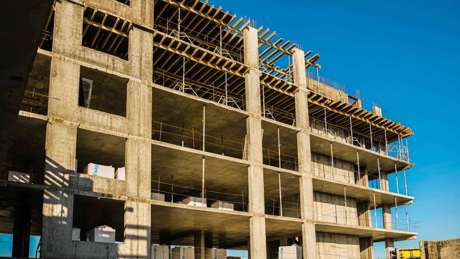 Листопад 2025 #12