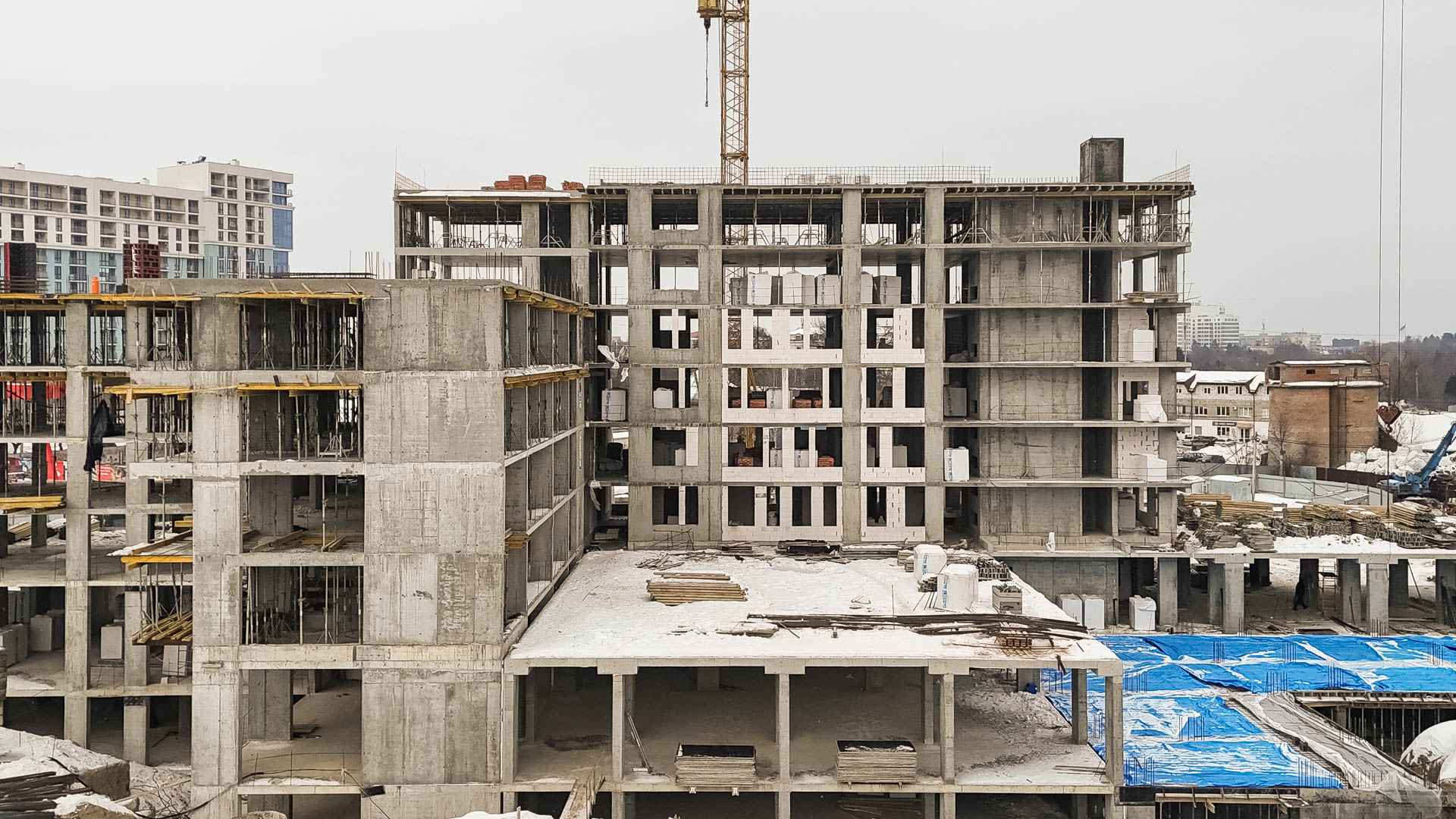 Січень 2026 #17