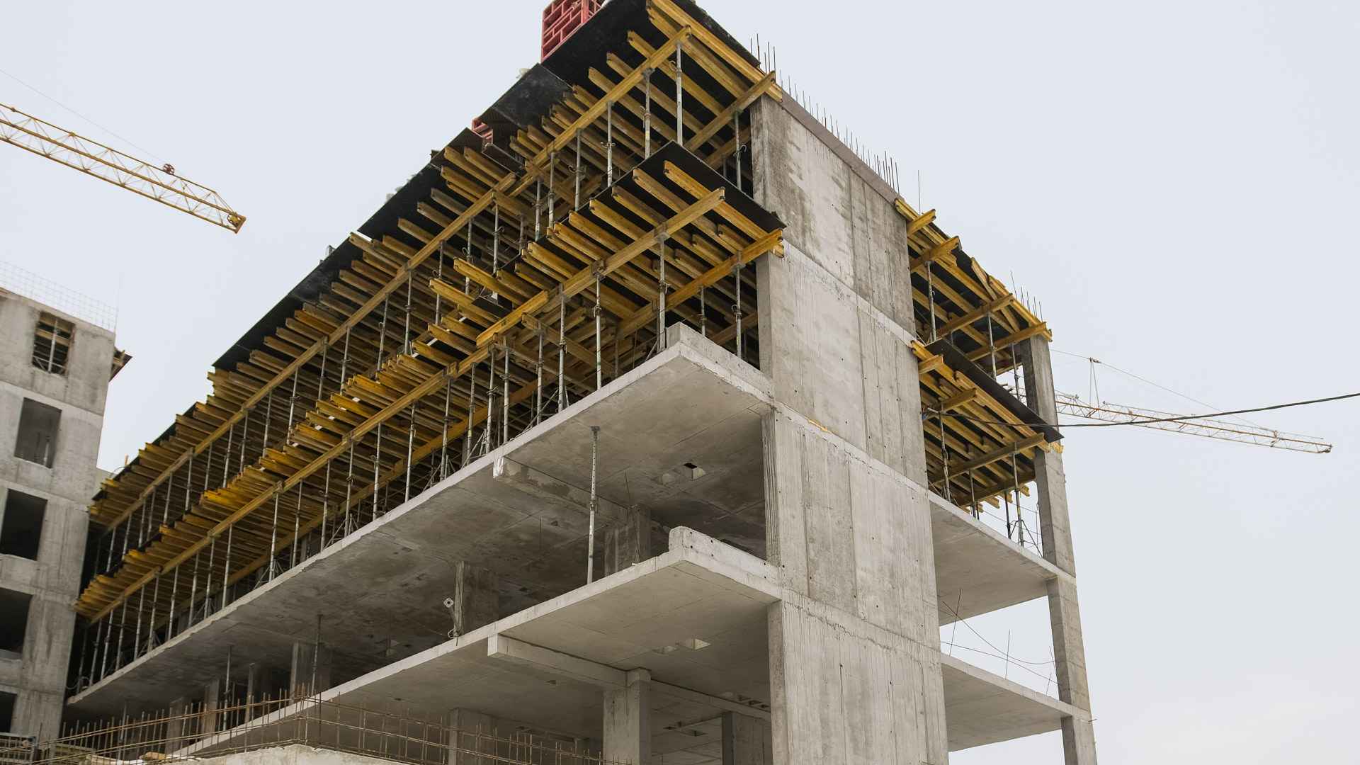 Січень 2026 #4